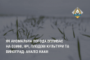 Як аномальна погода впливає на озимі, ярі, плодові культури та виноград: аналіз НААН Як аномальна погода впливає на озимі, ярі, плодові культури та виноград: аналіз НААН